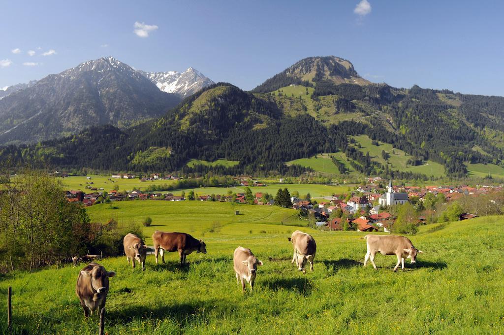 Ferienwohnungen Hirschbachwinkel Bad Hindelang Exterior foto